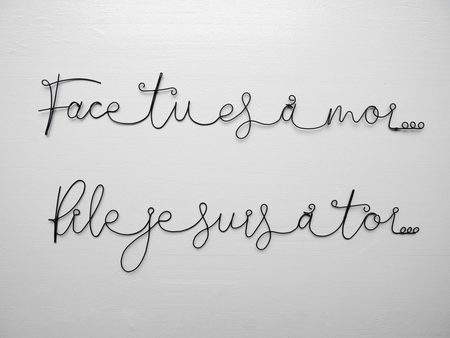 Zitat aus echtem geglühtem Draht, Köpfe, du bist mein, Schwänze, ich bin dein, Wanddekoration für zu Hause, Dekoration, Botschaft aus geglühtem Draht