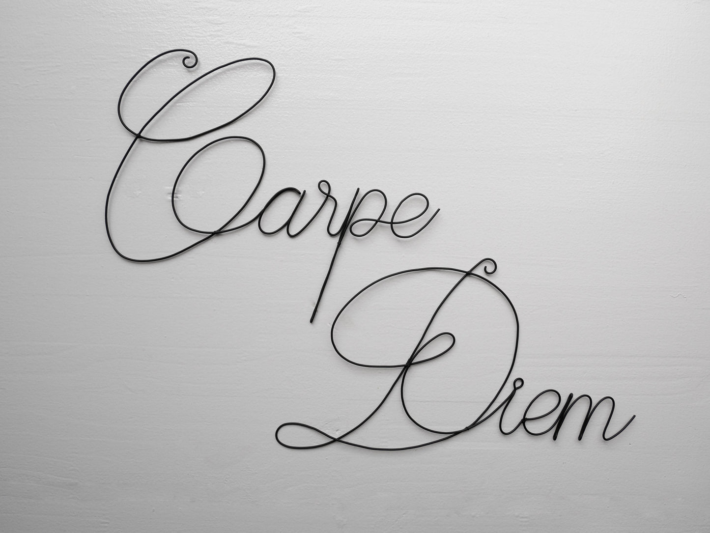 Carpe Diem Wanddekoration aus geglühtem Draht, Wort aus Draht, Nachricht, Satz, Schrift, Zitat, Skulptur aus geglühtem Draht