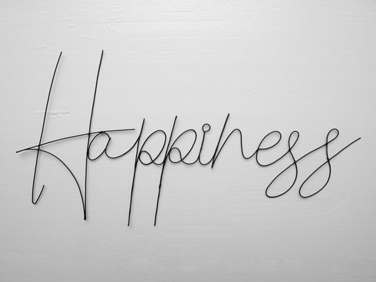 Mot Happiness fil de fer recuit, mot décoration murale, message phrase écriture citation, plaque de porte, cadeau, typographie,  wire