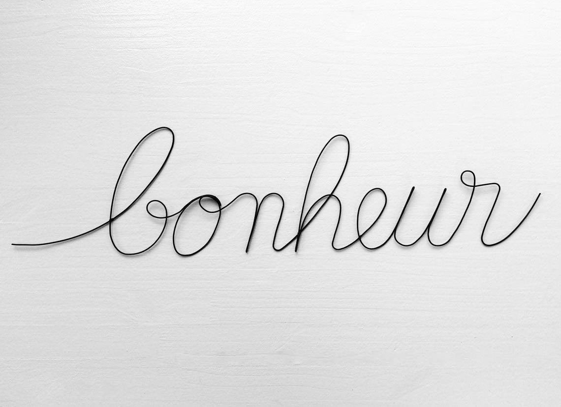 Word happiness wire, customizable wire message, writing phrase, quote, annealed wire sculpture, wall decoration