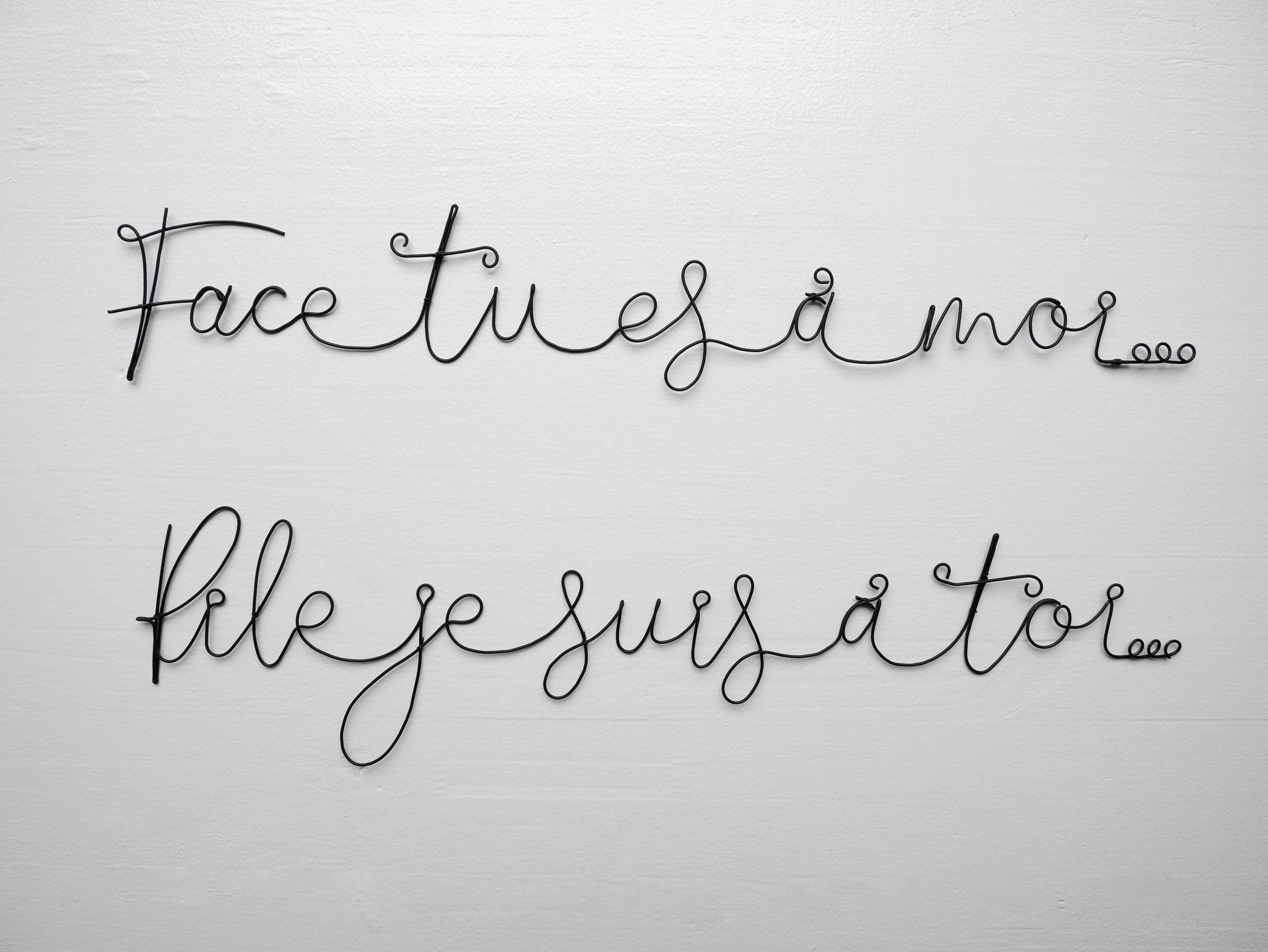 Quote in real annealed wire, Heads you are mine tails I am yours, home wall decoration, decoration, message in annealed wire