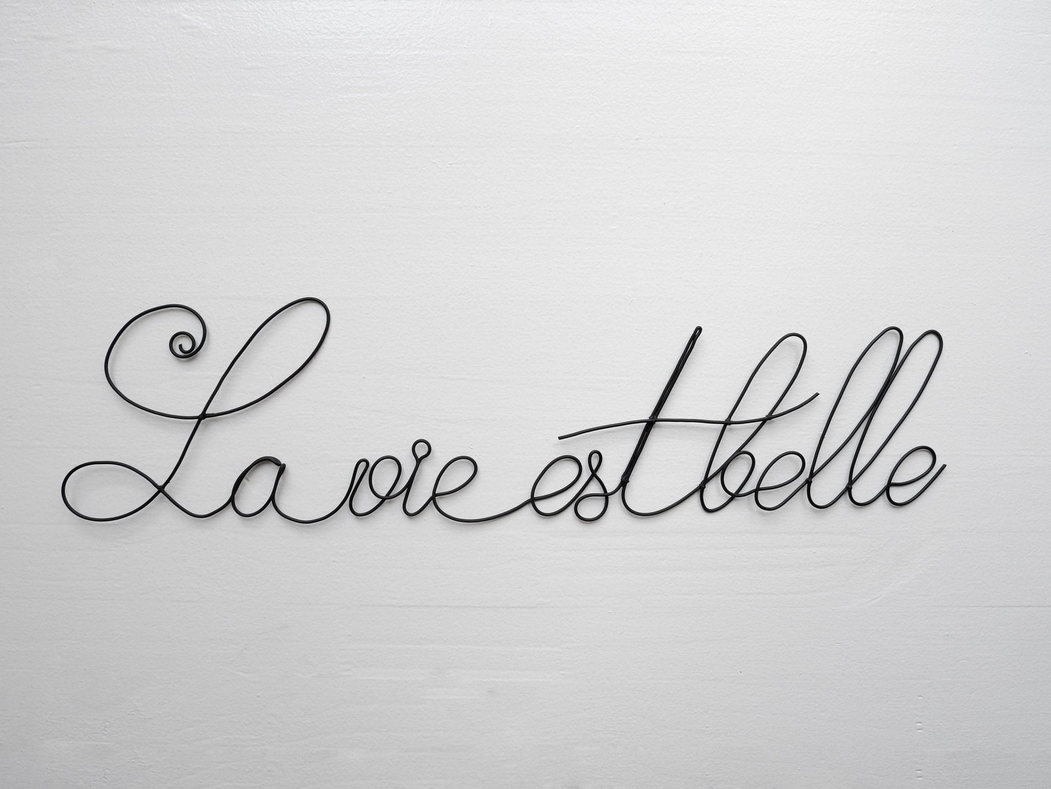 Phrase geglühter Draht: Das Leben ist schön, Wort in geglühtem Draht, Schrift geglühter Draht, Nachricht, Zitat geglühter Draht, Dekoration