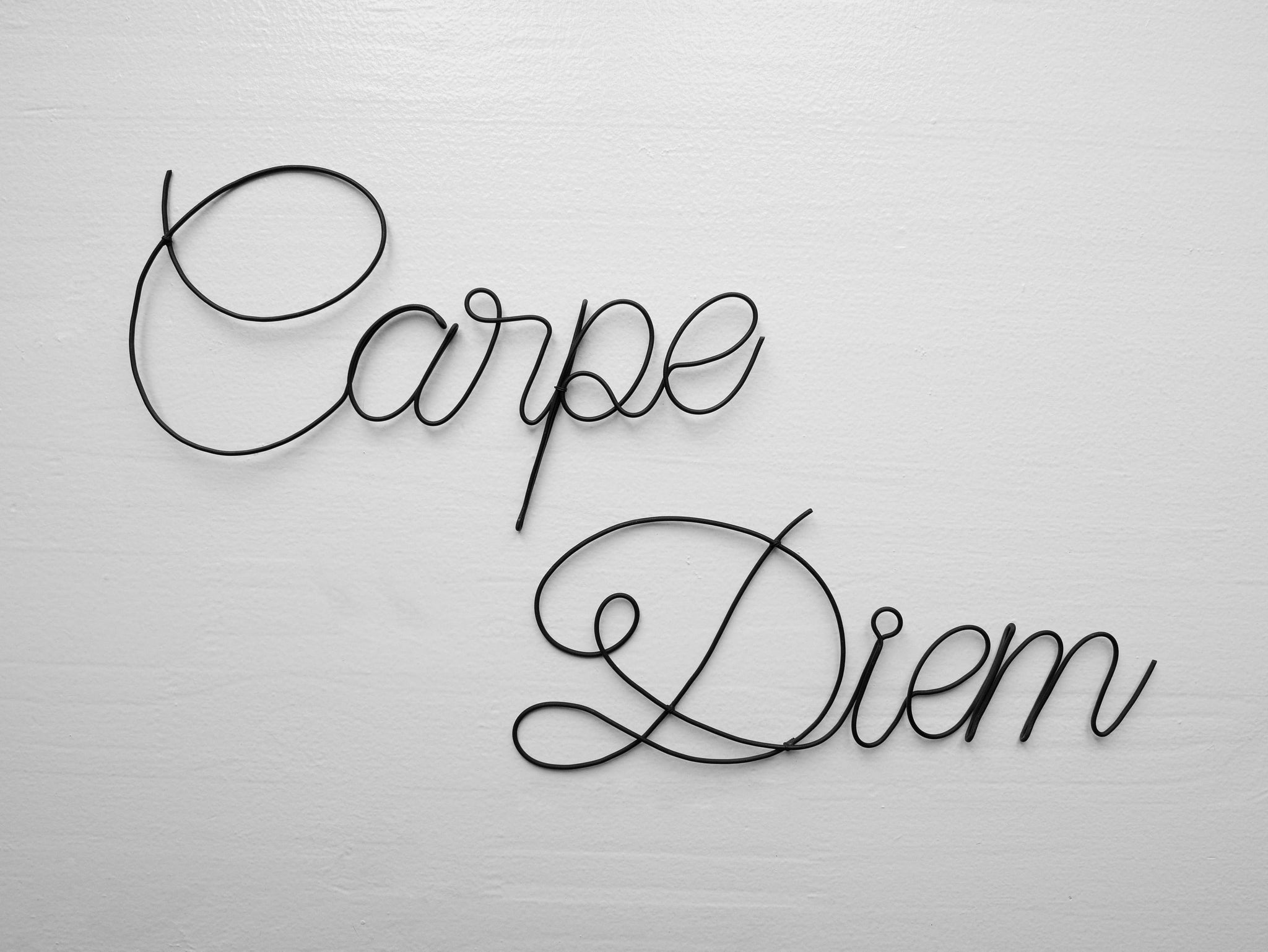 Carpe Diem Wanddekoration aus geglühtem Draht, Wort aus Draht, Nachricht, Satz, Schrift, Zitat, Skulptur aus geglühtem Draht