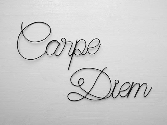 Carpe Diem wall decoration in annealed wire, word in wire, message, sentence, writing, quote, sculpture in annealed wire