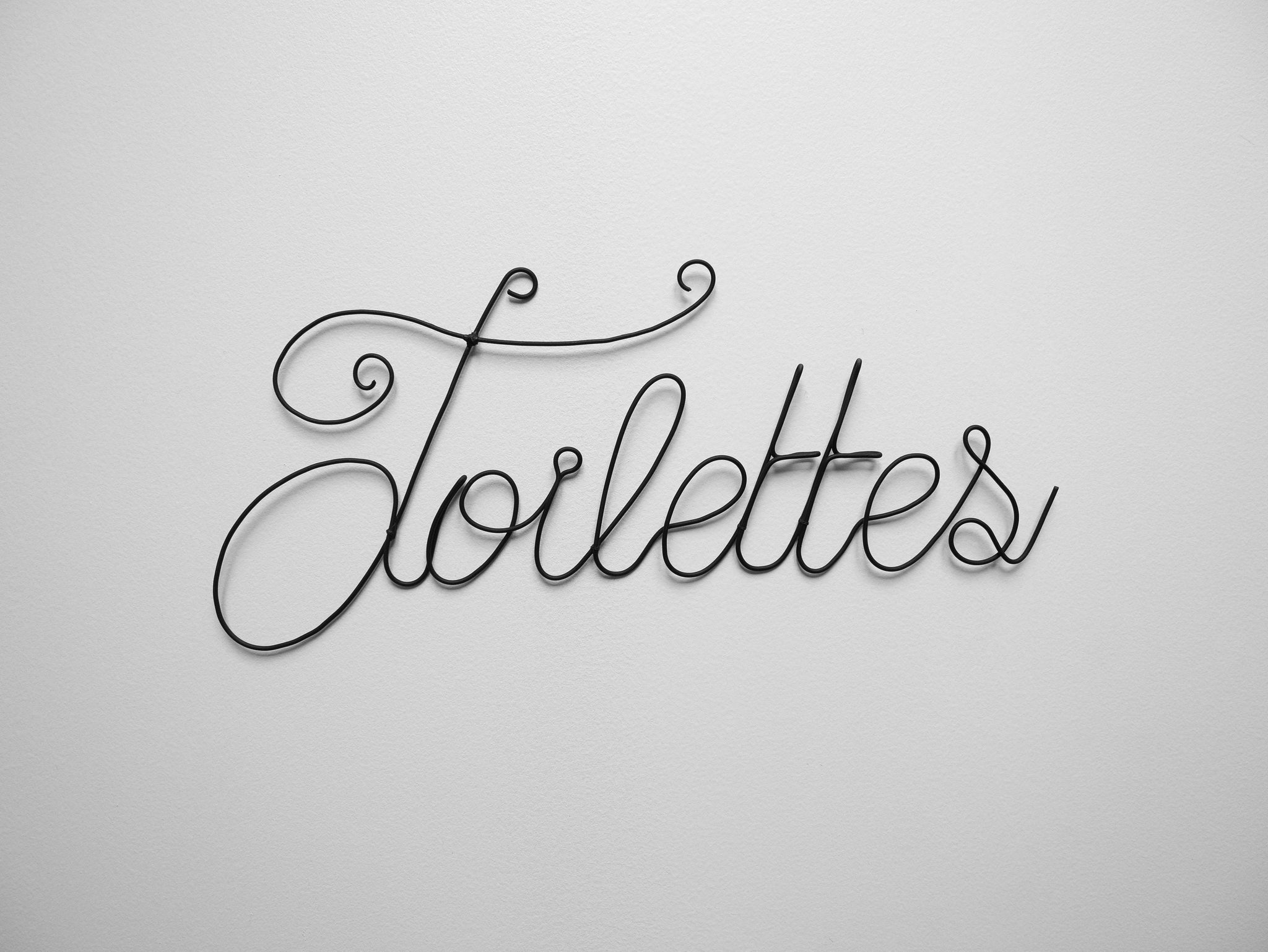 Toilet door plaque in annealed wire, wall decoration, metal phrase, writing, quote, sculpture in annealed wire